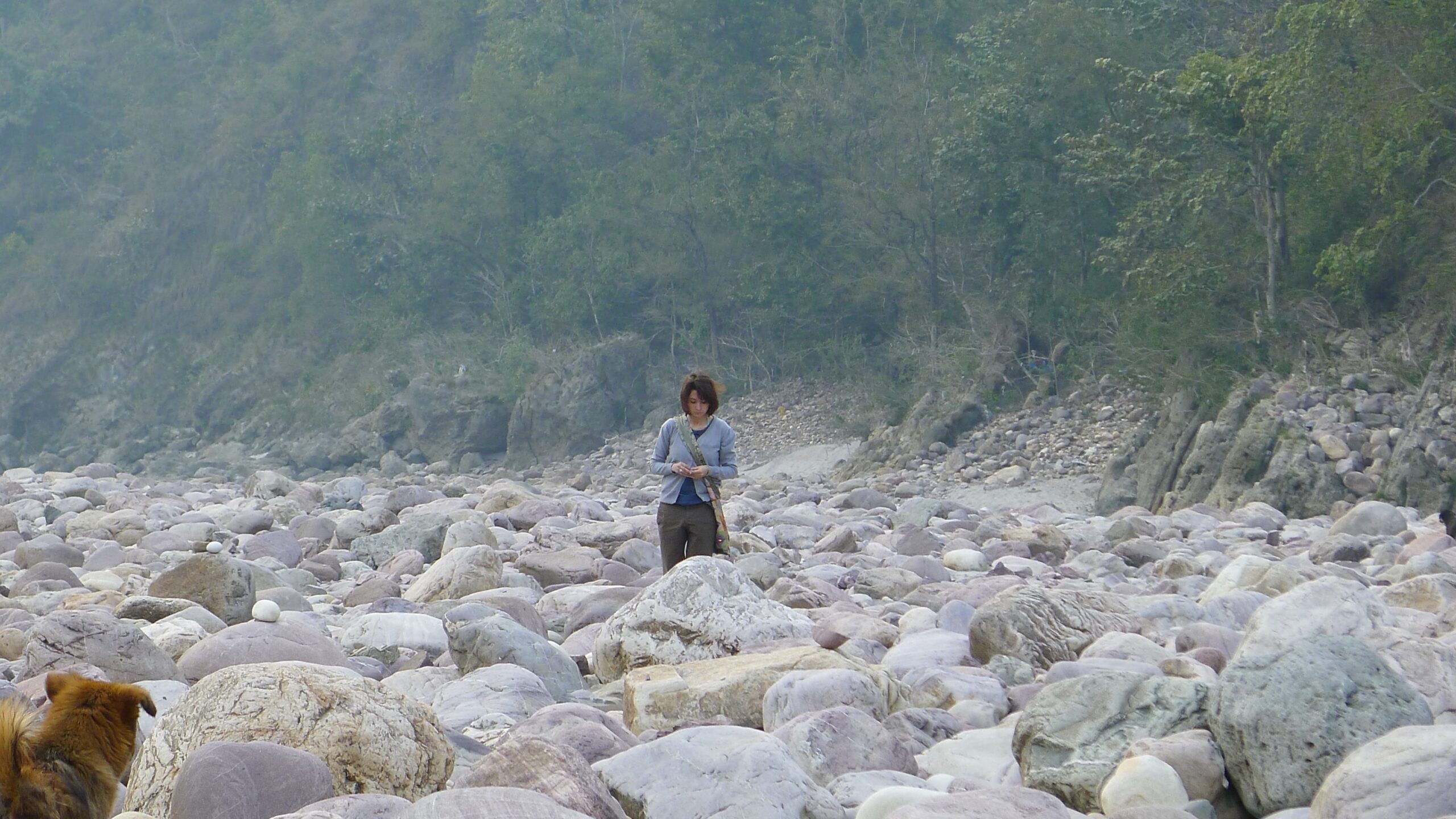 Photo of Lydia standing in the dry river bead of a gorge (Ganges River) filled with large gray and pastel colored stones. Lydia is looking down at her hands, holding something small. Misty green trees cover a steep embankment and a small, reddish-brown dog faces her from the bottom left corner.